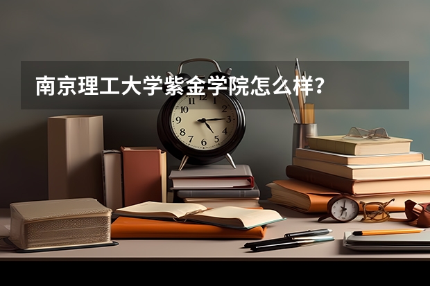 南京理工大学紫金学院怎么样？