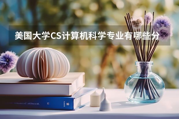 美国大学CS计算机科学专业有哪些分支