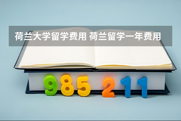 荷兰大学留学费用 荷兰留学一年费用人民币