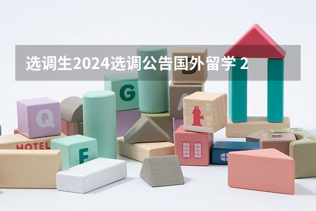 选调生2024选调公告国外留学 2024河南选调生公告