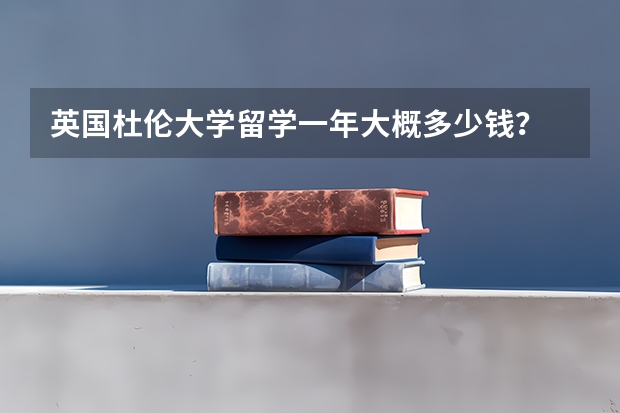 英国杜伦大学留学一年大概多少钱？