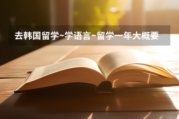 去韩国留学~学语言~留学一年大概要多少钱啊