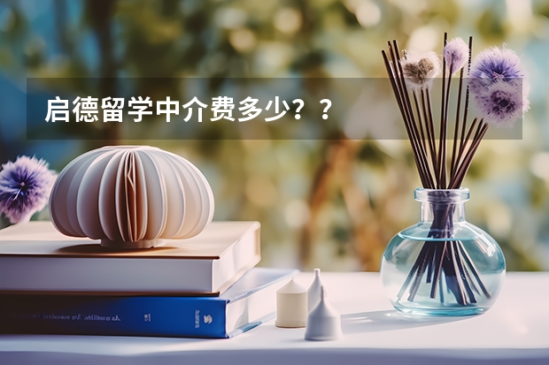 启德留学中介费多少？？