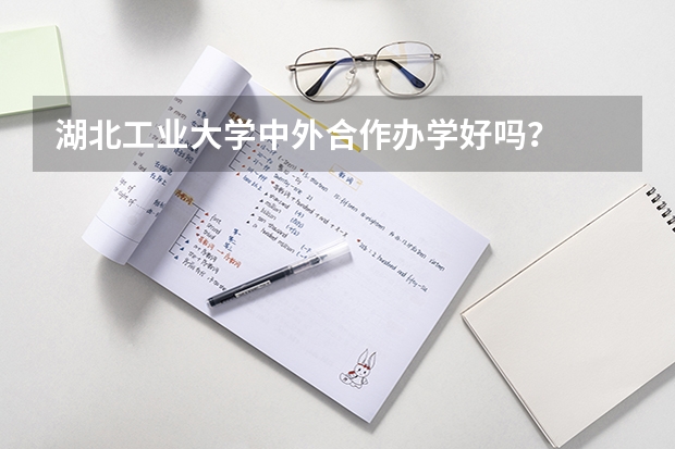 湖北工业大学中外合作办学好吗？