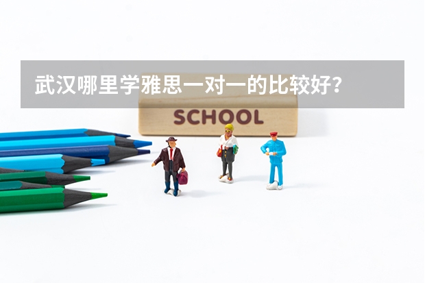 武汉哪里学雅思一对一的比较好？