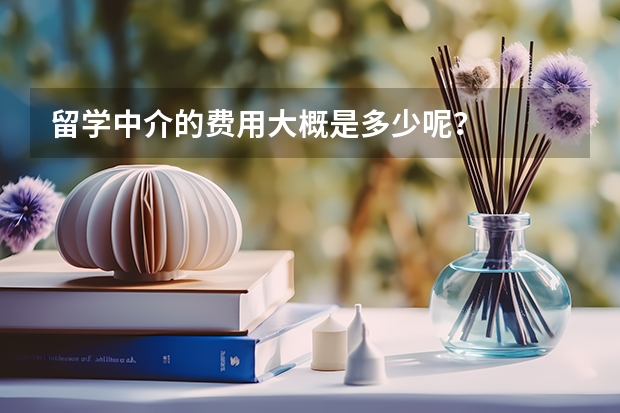 留学中介的费用大概是多少呢？