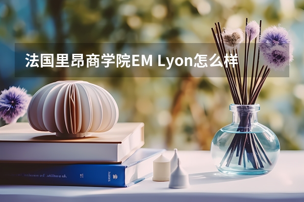 法国里昂商学院EM Lyon怎么样？