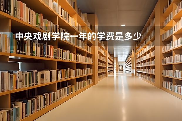 中央戏剧学院一年的学费是多少