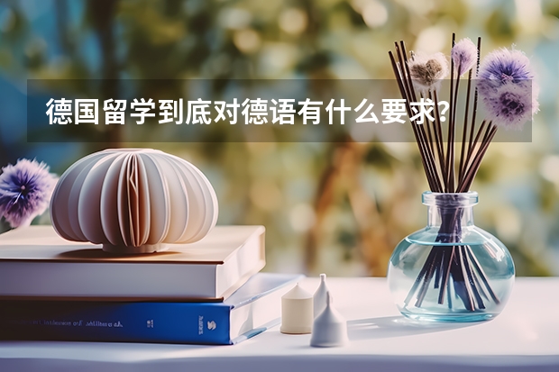 德国留学到底对德语有什么要求？