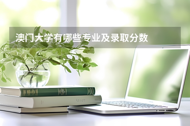 澳门大学有哪些专业及录取分数