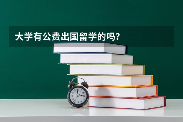 大学有公费出国留学的吗？