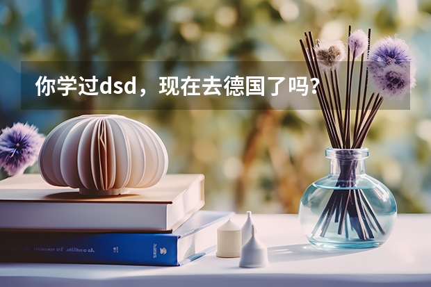 你学过dsd，现在去德国了吗？   目前我们也考完了德语，有一些问题想请教你