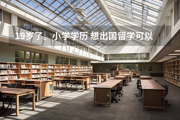 19岁了。小学学历 想出国留学可以吗？