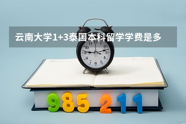 云南大学1+3泰国本科留学学费是多少？