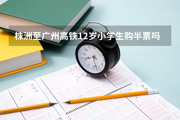 株洲至广州高铁12岁小学生购半票吗?