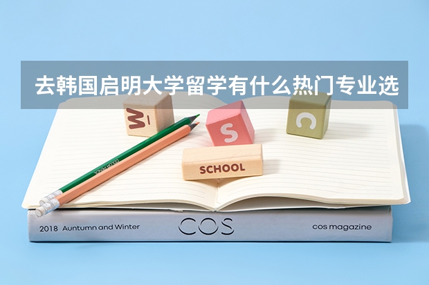 去韩国启明大学留学有什么热门专业选择