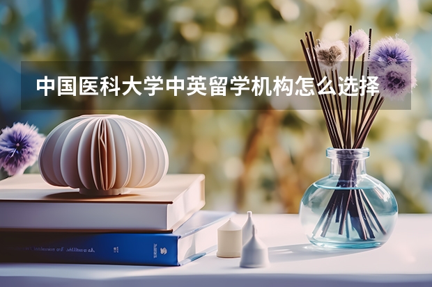 中国医科大学中英留学机构怎么选择