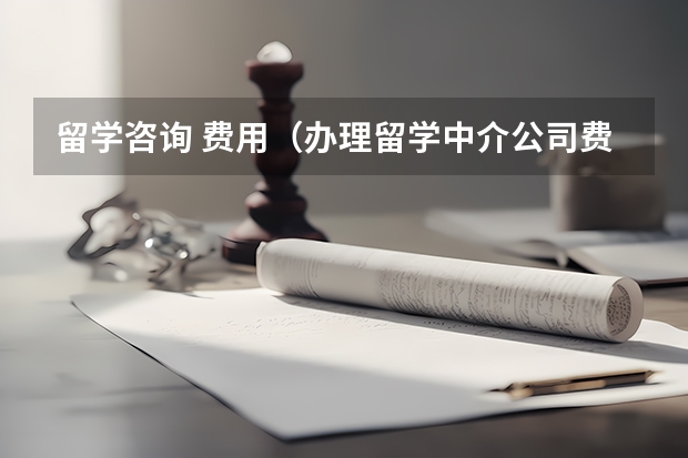 留学咨询 费用（办理留学中介公司费用）