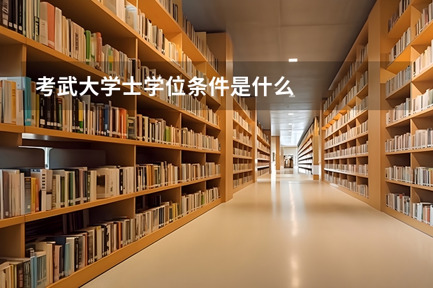 考武大学士学位条件是什么