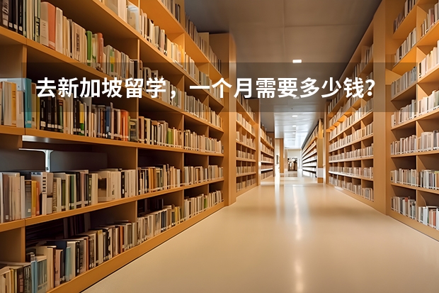 去新加坡留学，一个月需要多少钱？