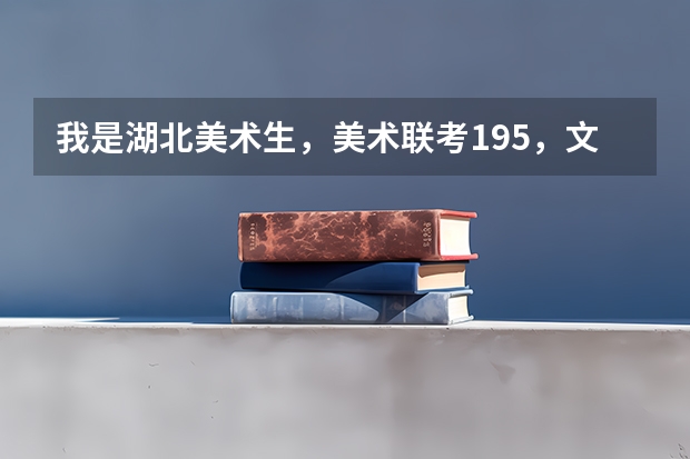 我是湖北美术生，美术联考195，文化课多少能上杭州师范大学?