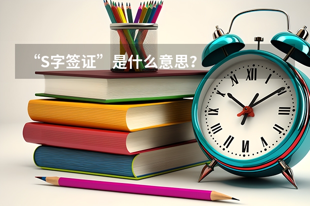 “S字签证”是什么意思？