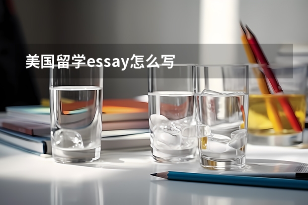 美国留学essay怎么写