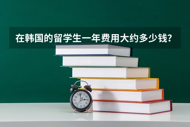 在韩国的留学生一年费用大约多少钱？花销大概在哪些方面？