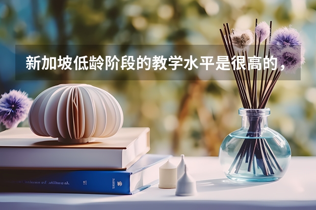 新加坡低龄阶段的教学水平是很高的，未成年去新加坡留学需要什么呢？