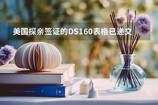 美国探亲签证的DS160表格已递交上去,下一步该怎么做