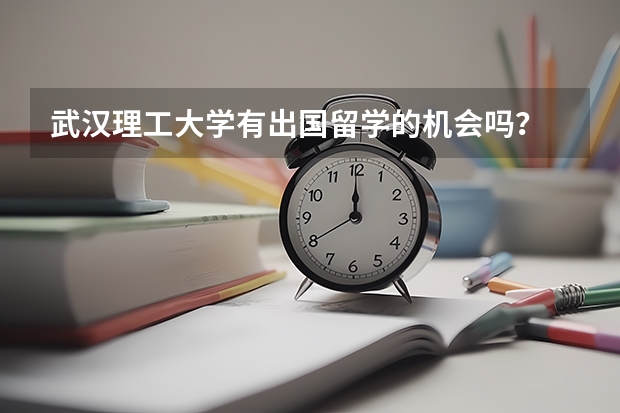 武汉理工大学有出国留学的机会吗？