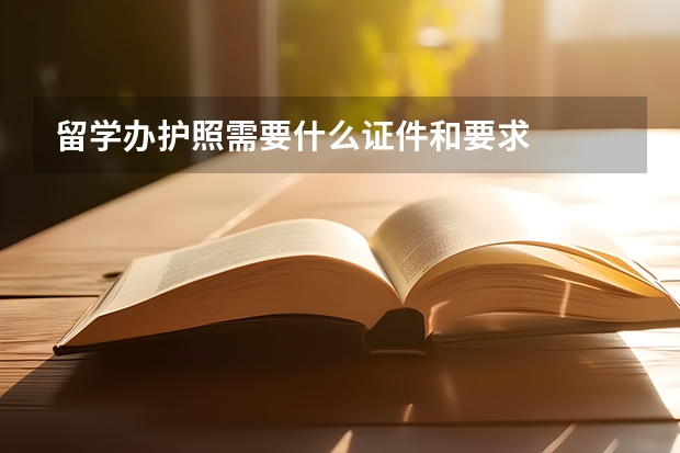 留学办护照需要什么证件和要求