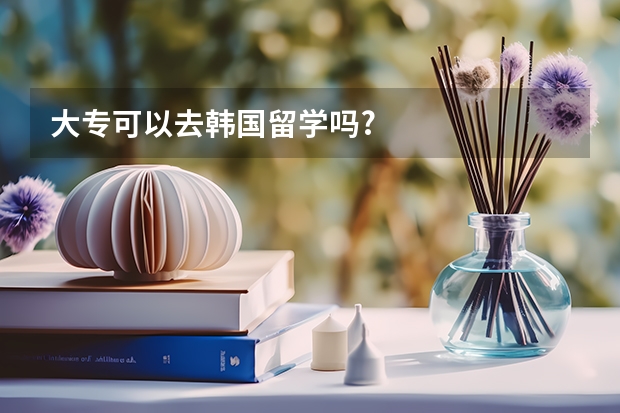 大专可以去韩国留学吗?