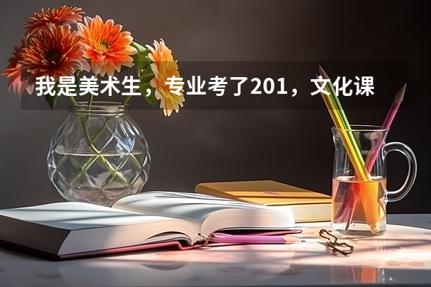 我是美术生，专业考了201，文化课310，请问可以上山东省内什么专科学校？要公办的