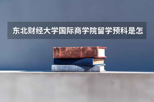 东北财经大学国际商学院留学预科是怎么回事