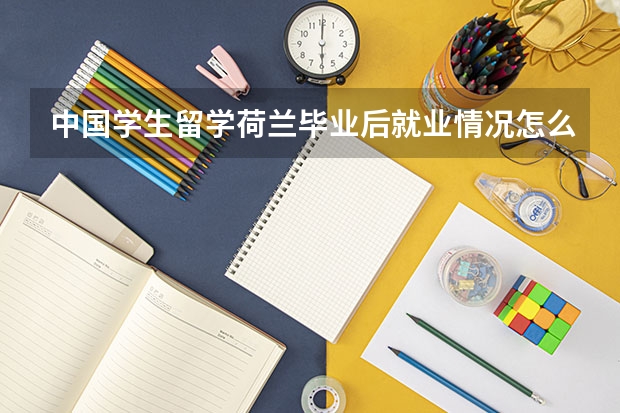 中国学生留学荷兰毕业后就业情况怎么样？