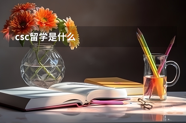 csc留学是什么