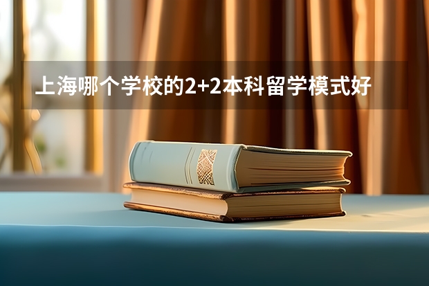 上海哪个学校的2+2本科留学模式好？