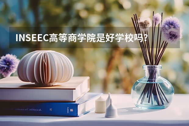 INSEEC高等商学院是好学校吗？