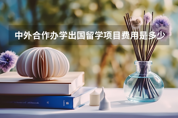 中外合作办学出国留学项目费用是多少