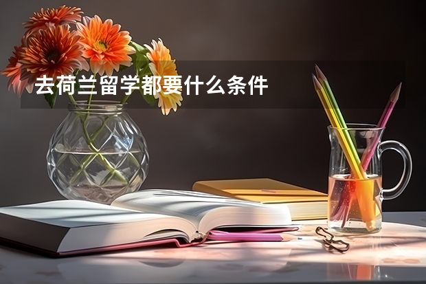 去荷兰留学都要什么条件