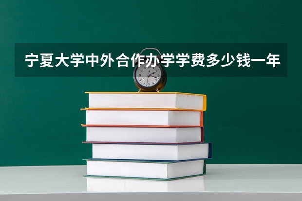 宁夏大学中外合作办学学费多少钱一年